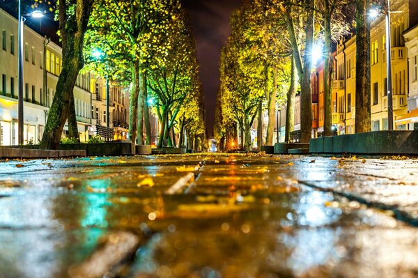 Asphalt auf der Straße nach Regen