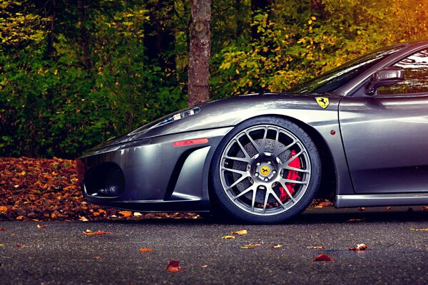 Silver ferrari 430 in autumn