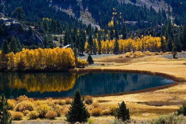 Increíble bosque de otoño con un pequeño lago