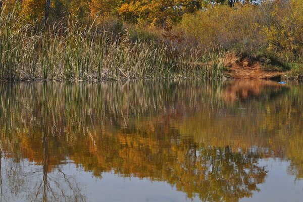 Naturaleza de otoño en Primorie