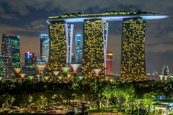 Jardín y arena en la ciudad de Singapur