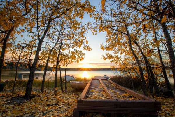 Coucher de soleil sur fond de chute des feuilles d automne