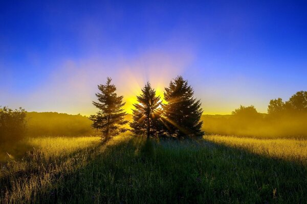 Sunrise on the green edge