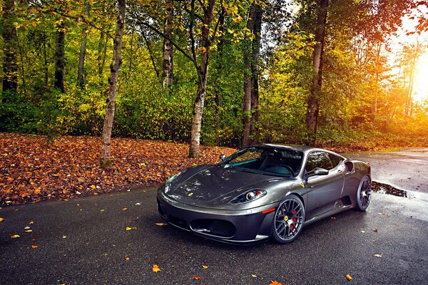 Silver ferrari 430 en otoño