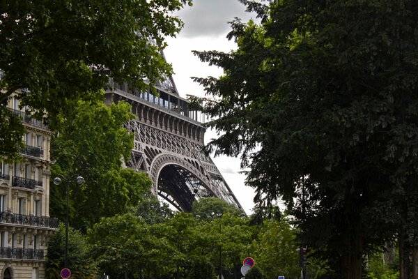 Tour des elfes à Paris