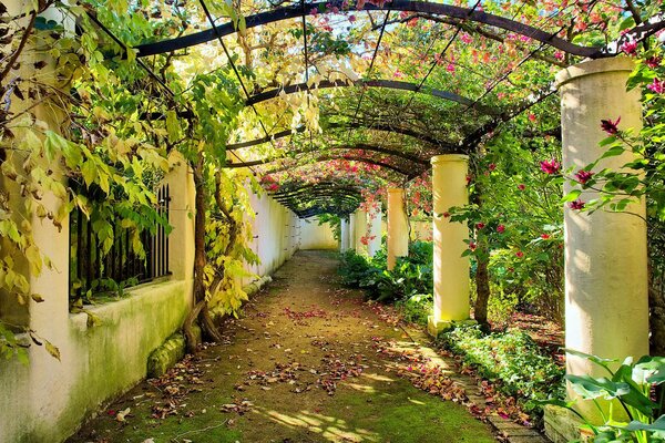 Un sentiero che porta dritto in autunno