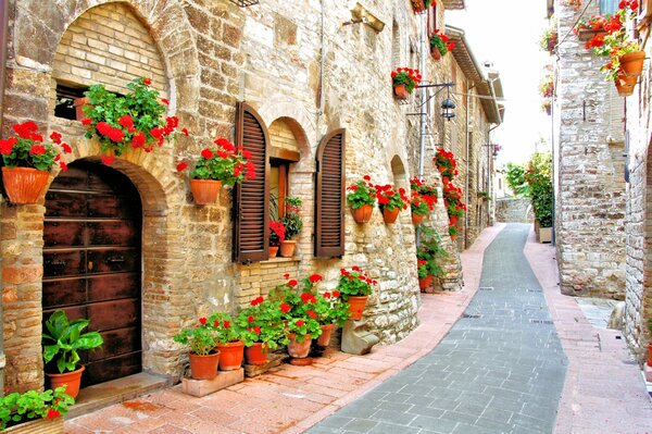 Enge italienische Gassen mit Blumen in Töpfen