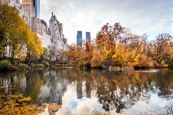 Autumn in New York, a view of skyscrapers from the park