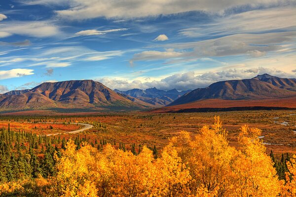 Alaska in autunno. Foresta d oro e montagne enormi