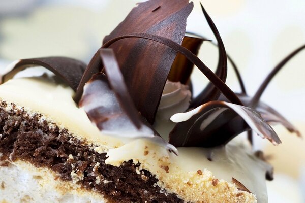 Gâteau sucré sucré aux pépites de chocolat