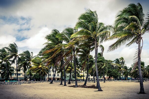 Miami attracts people with its beauty