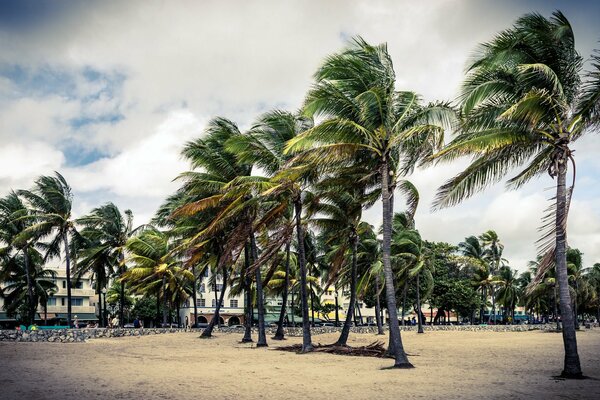 Miami atrae a la gente con belleza