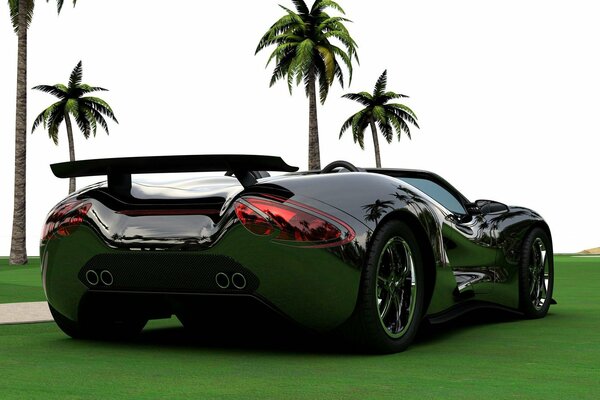 Supercar debout sur l herbe