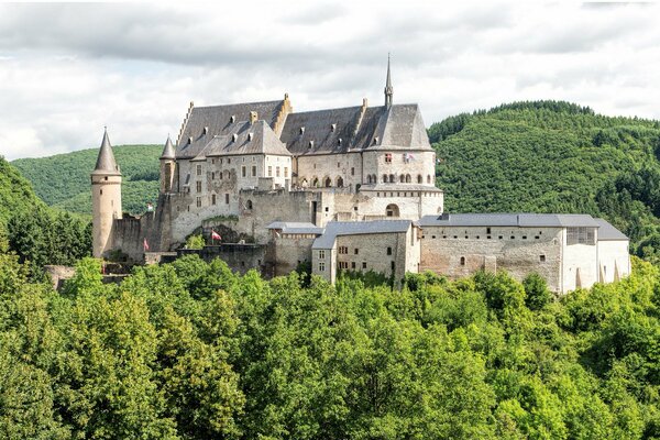 Das Luxemburger Schloss ist von einem grünen Wald umgeben