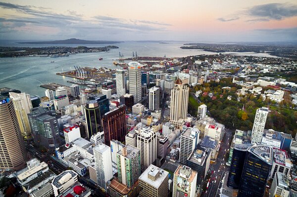 New Zealand Quarter Panarama