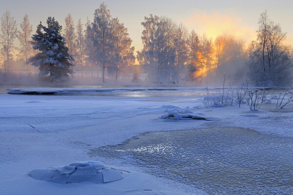 Beautiful Swedish winter landscape