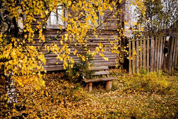 Casa vieja en el fondo del otoño dorado