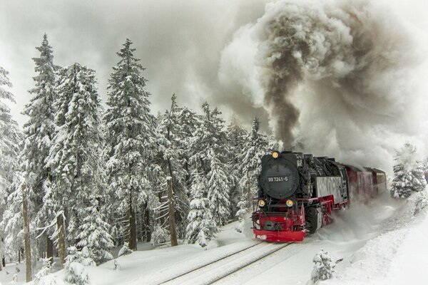 Dampfzug auf dem Hintergrund des verschneiten Waldes