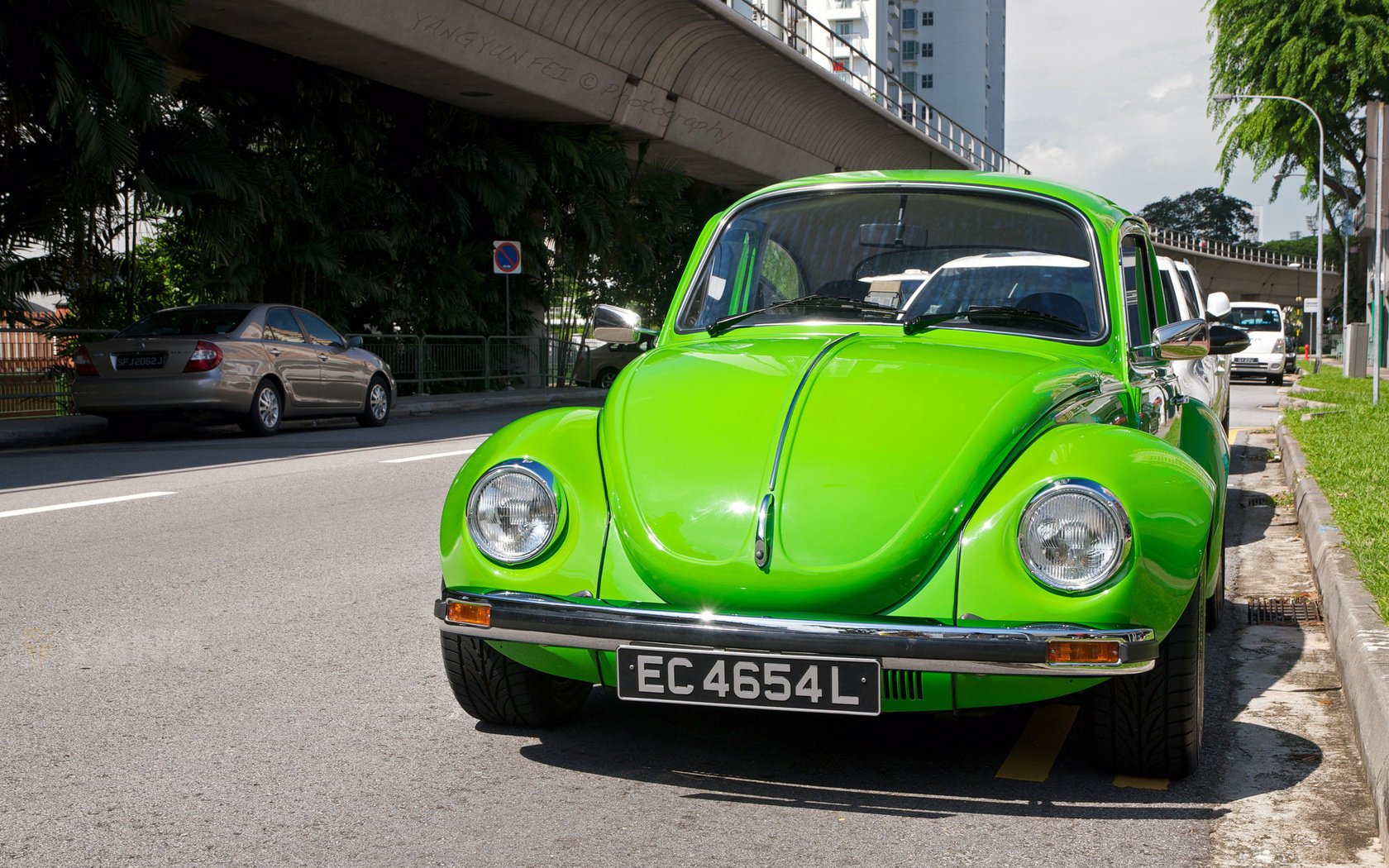 maggiolino volkswagen scarabeo verde