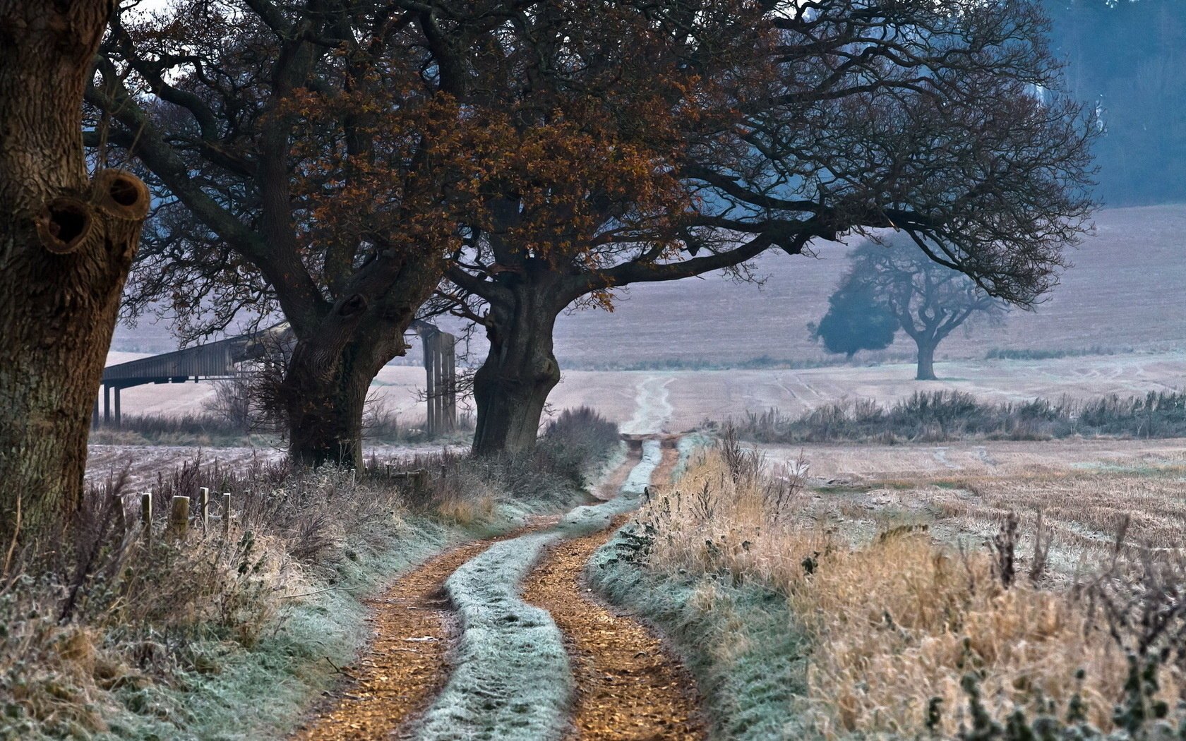 field road landscape