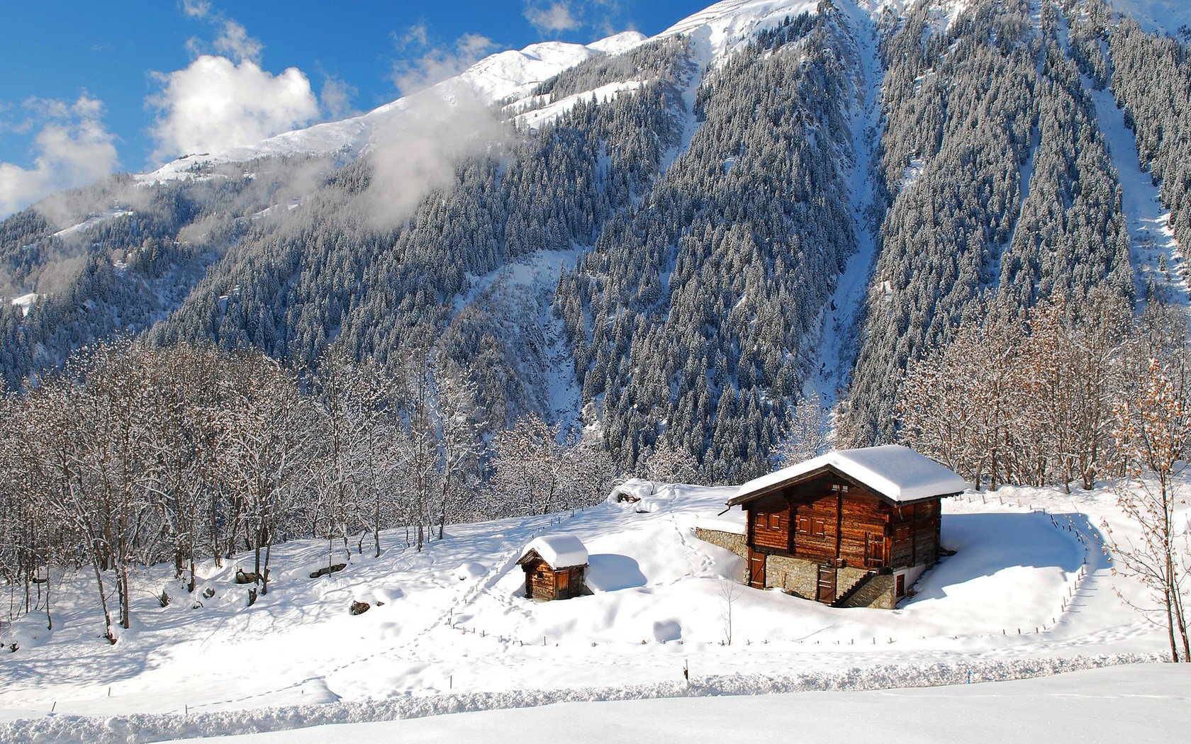 paisaje naturaleza bosque montaña casa invierno