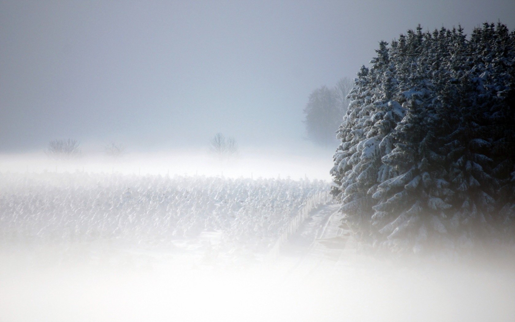 brouillard paysage neige