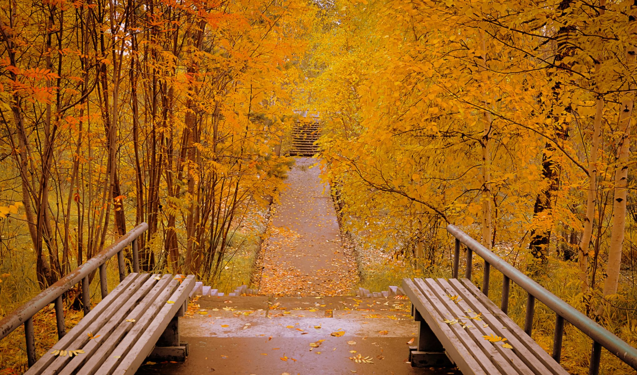 stadt park herbst