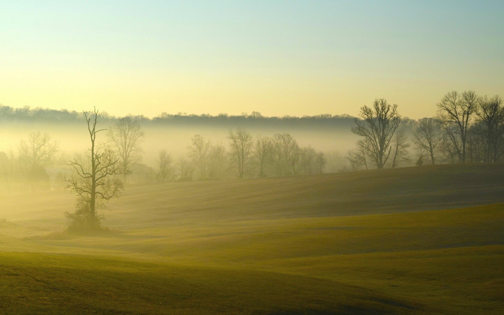 morning landscape fog field