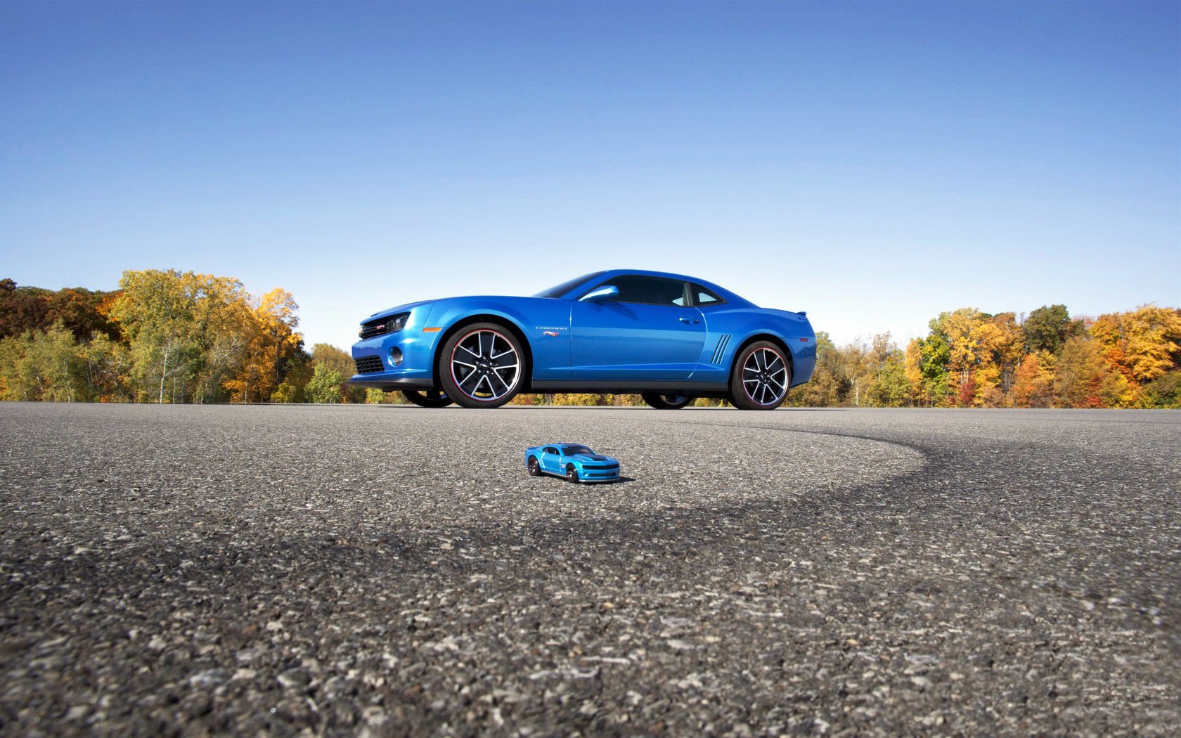 bleu voiture camaro modèle couleur