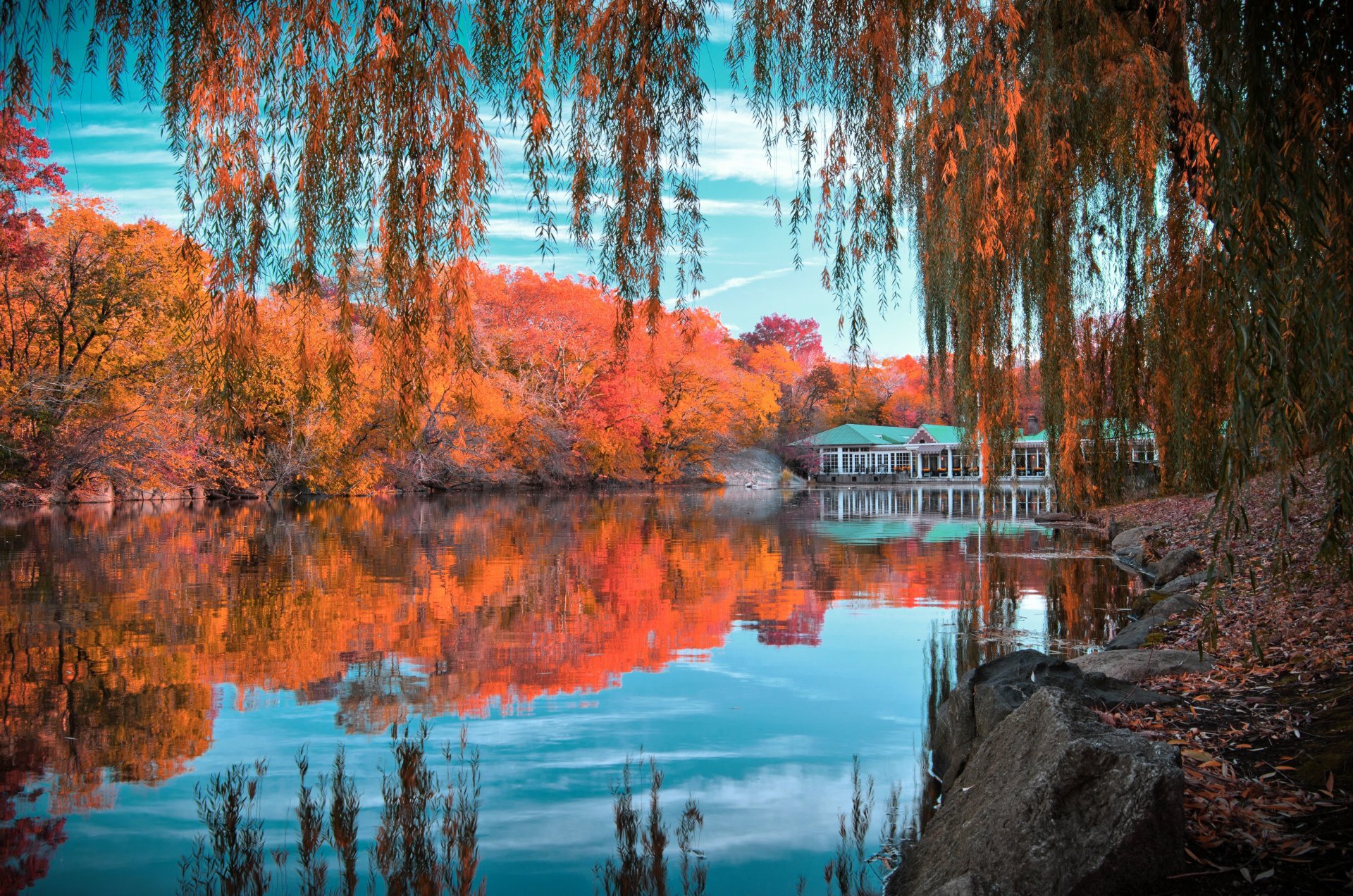 central park new york new york central park autunno lago alberi fogliame scarlatto casa riflessione pietre cielo nuvole