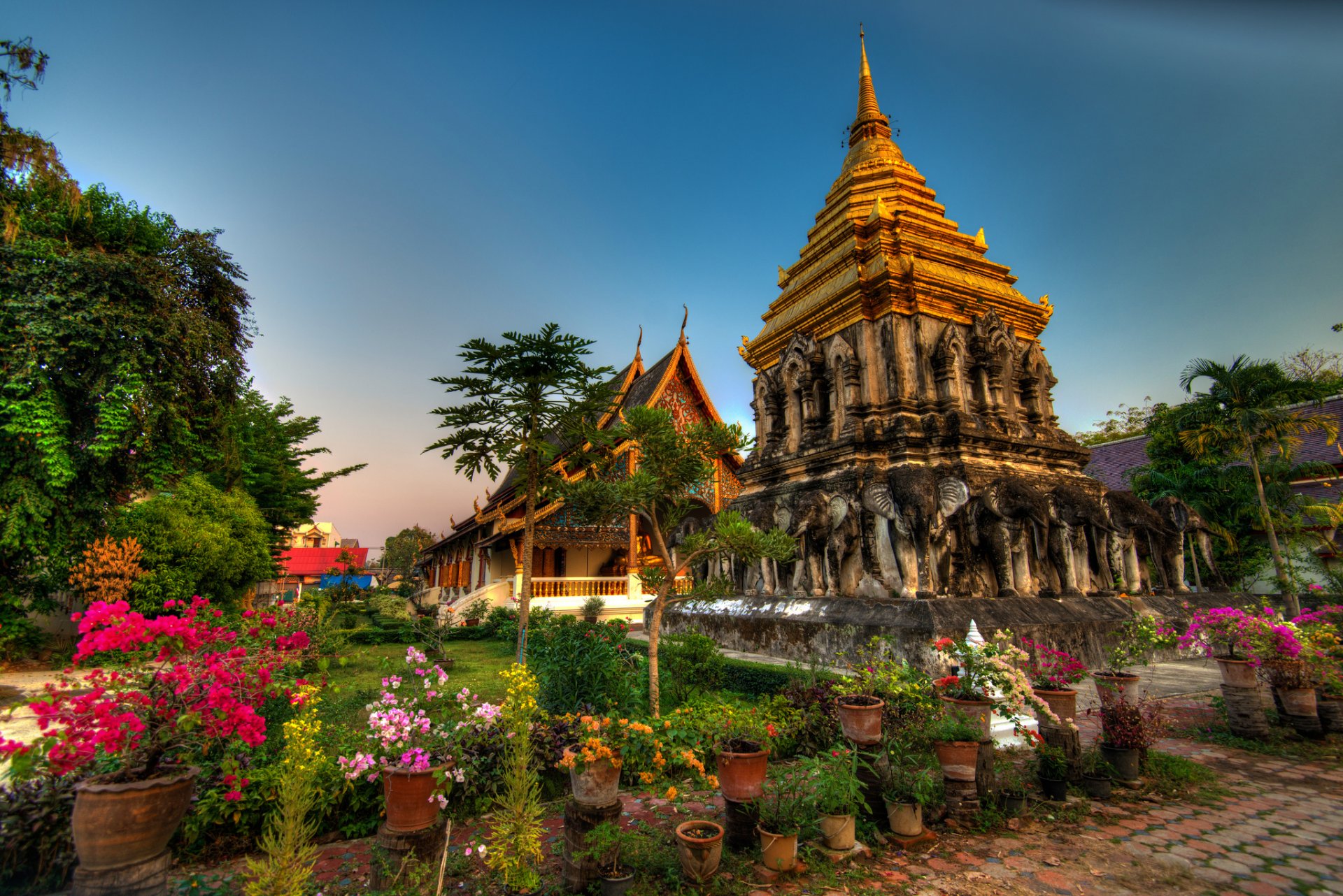 wat chiang man chiang mai tajlandia świątynia wat chiang man tajlandia kwiaty