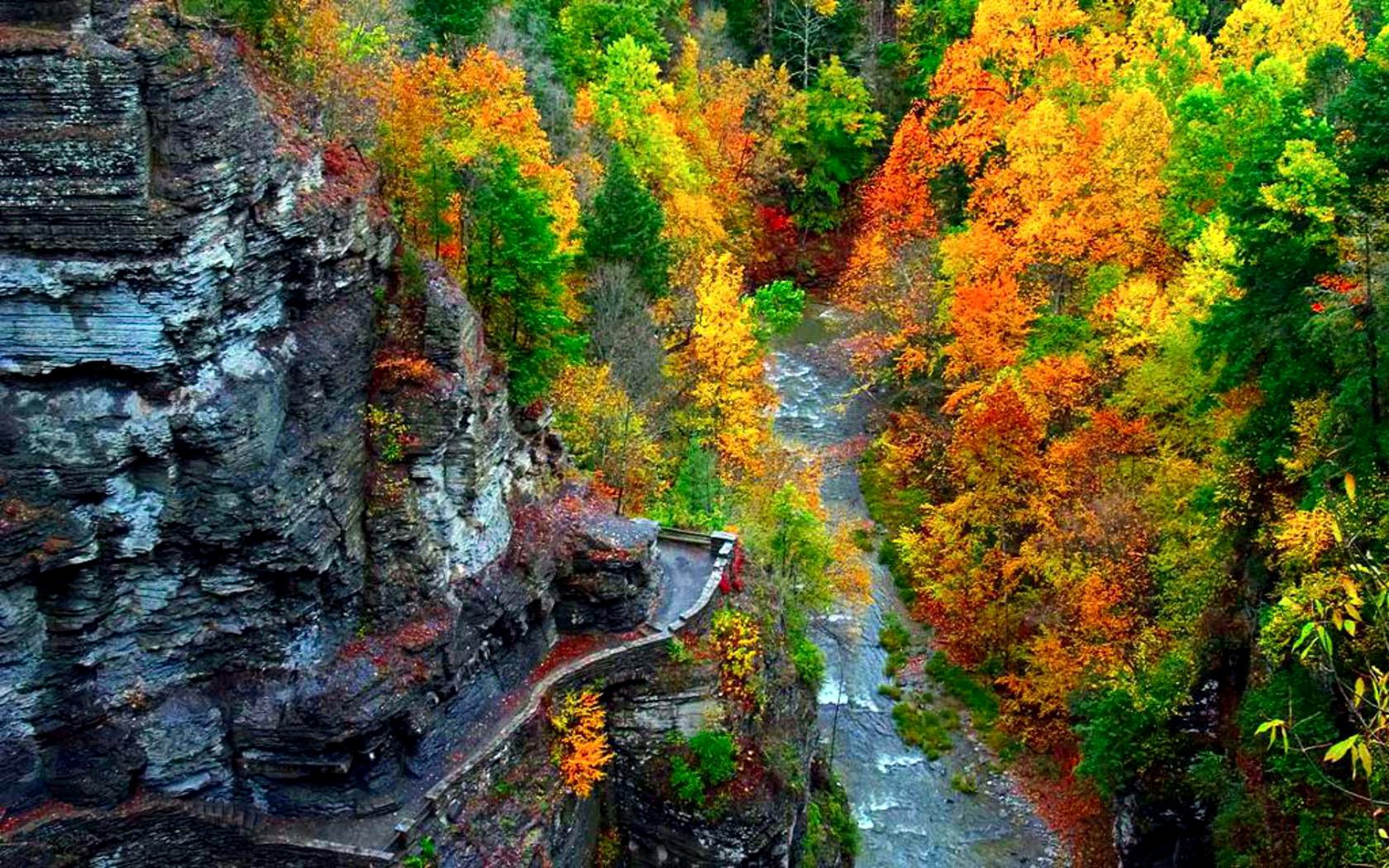 nature mountains forest