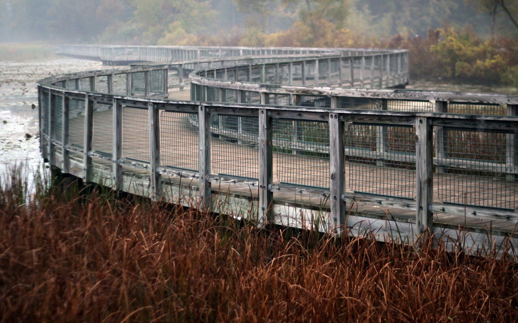 lago paisaje puente