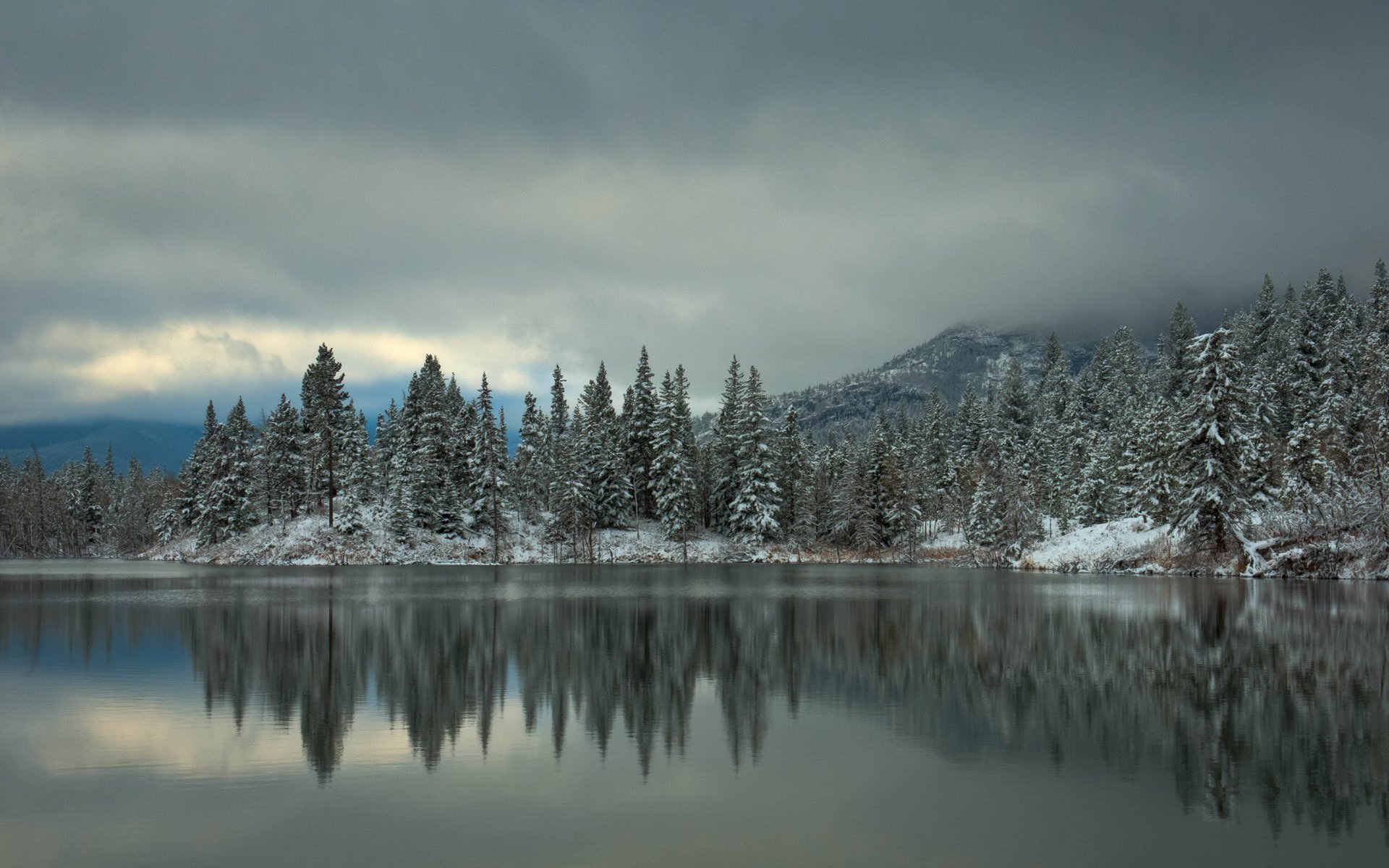 hiver lac sapin forêt neige arbres