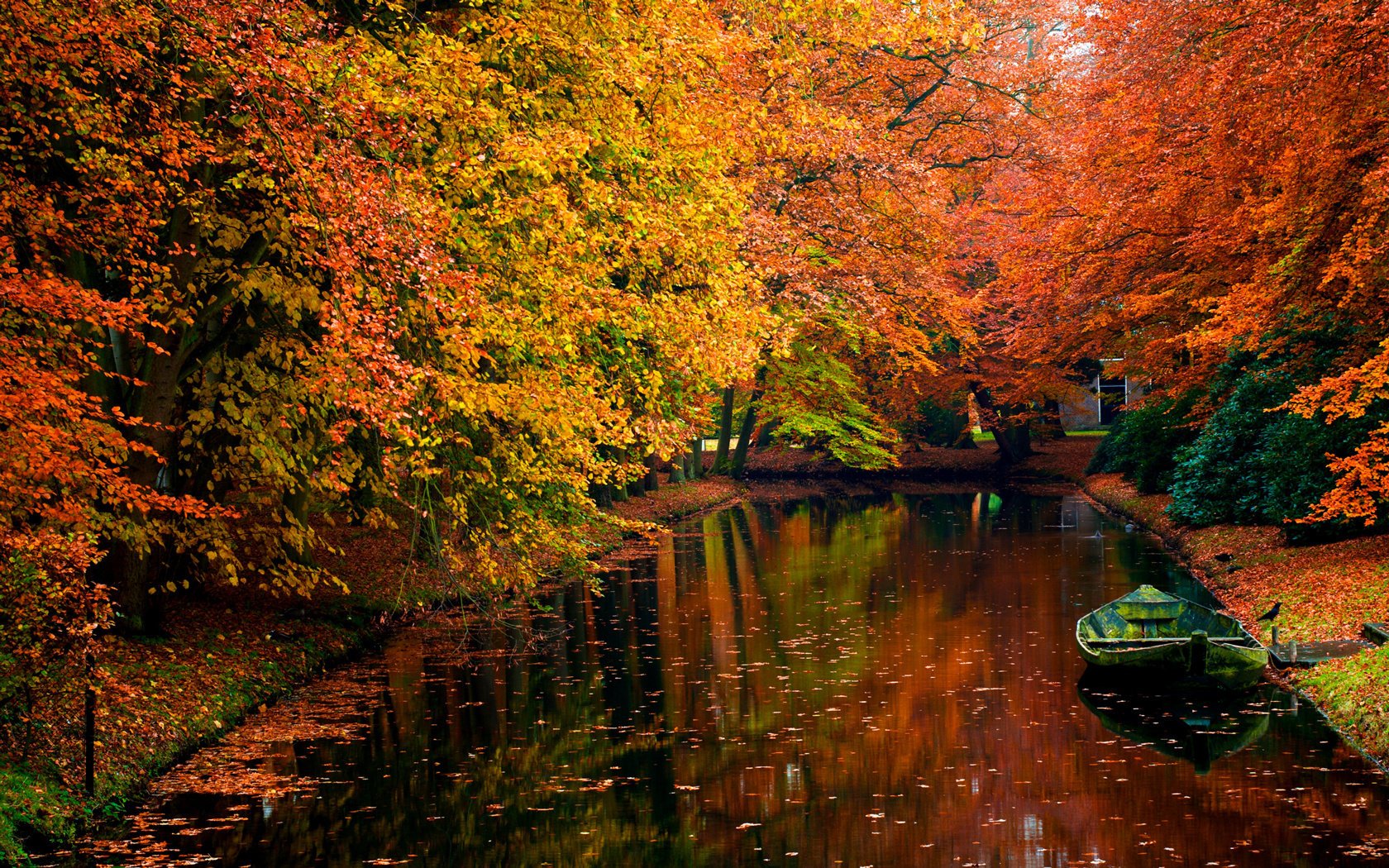 autunno foresta fiume