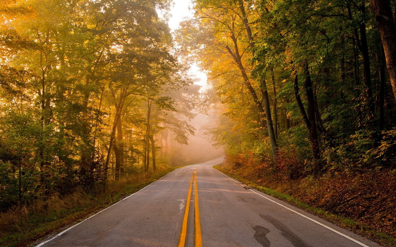 paesaggio strada autunno