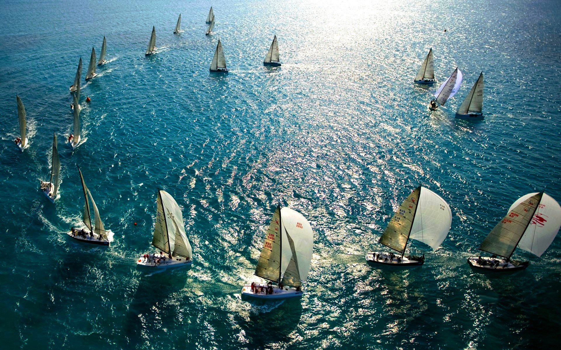 mare oceano alberi yacht vele