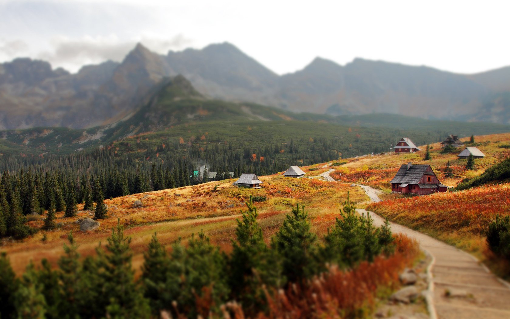 eslovaquia cárpatos tatras slovakia