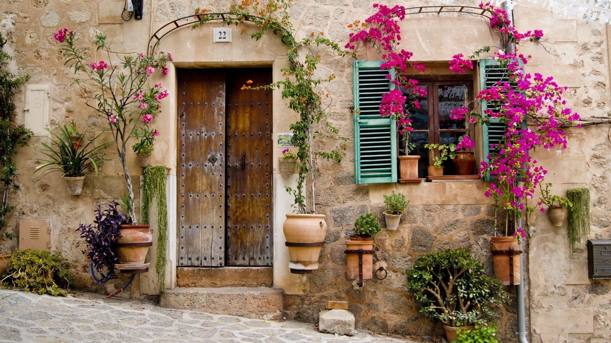 architecture house doors window flower door flower