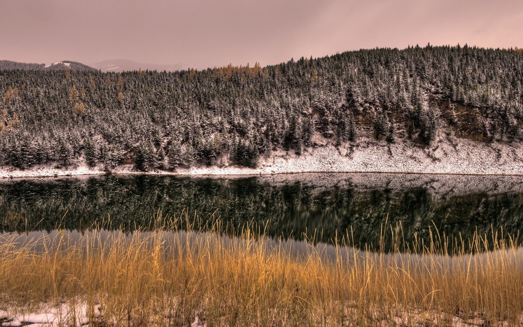 forest river landscape