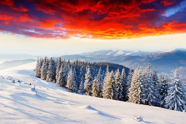 Nubes de sangre sobre el bosque cubierto de nieve