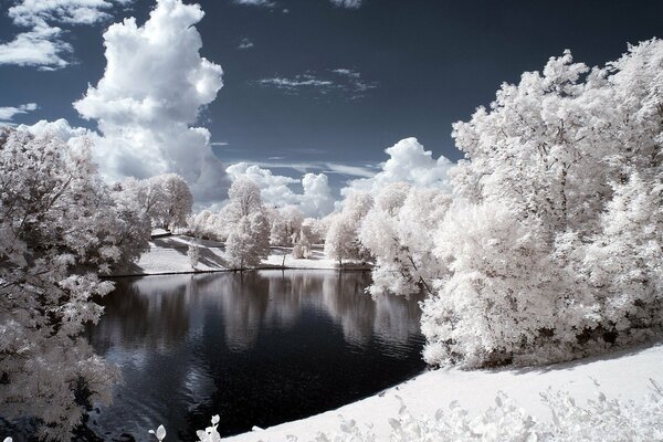 A frosty lake in a frost-covered forest