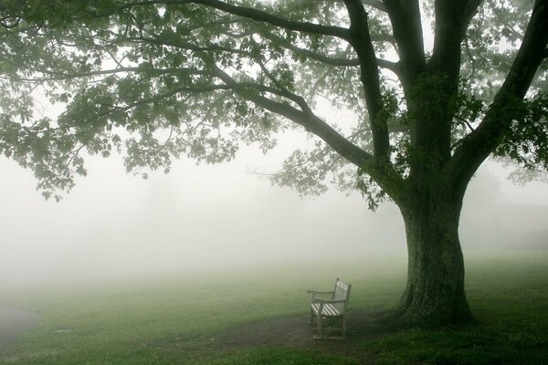 Eine einsame Bank und ein drohender Nebel