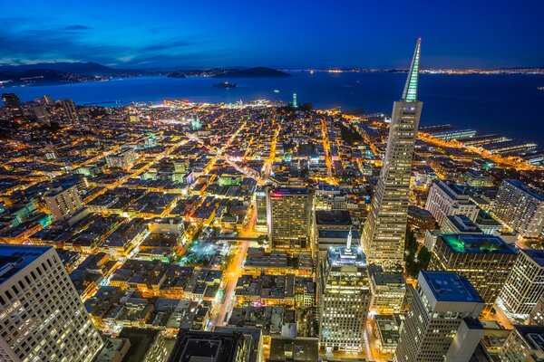 Saint Francisco at night with a rich blue sky