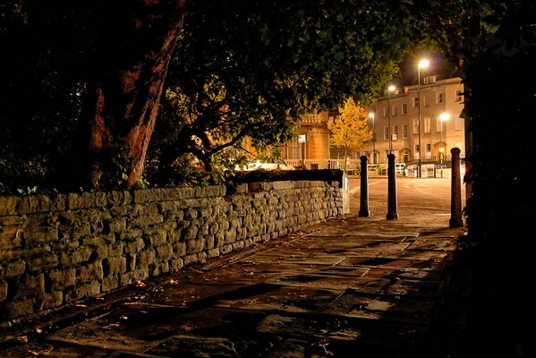 Night walks under the lights