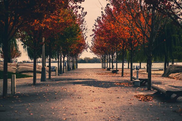 Autumn in Street photography