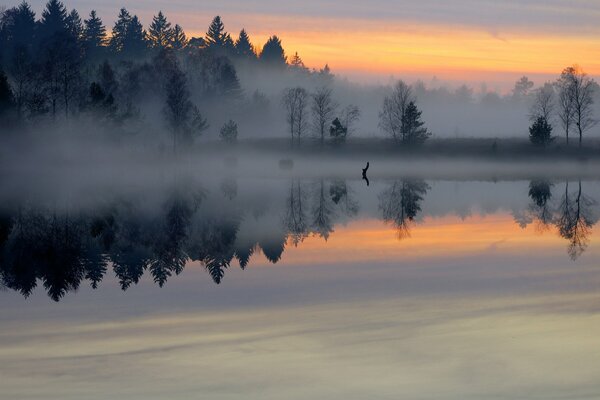 Misty dawn over a calm lake