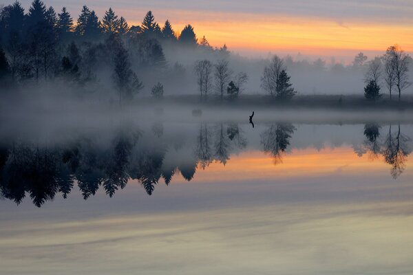 Alba nebbiosa su un lago calmo