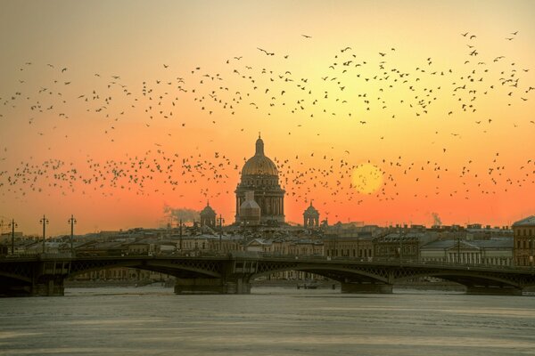 Winter pink sunrise in St. Petersburg