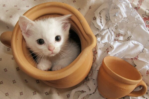 A little crumb in a clay pot